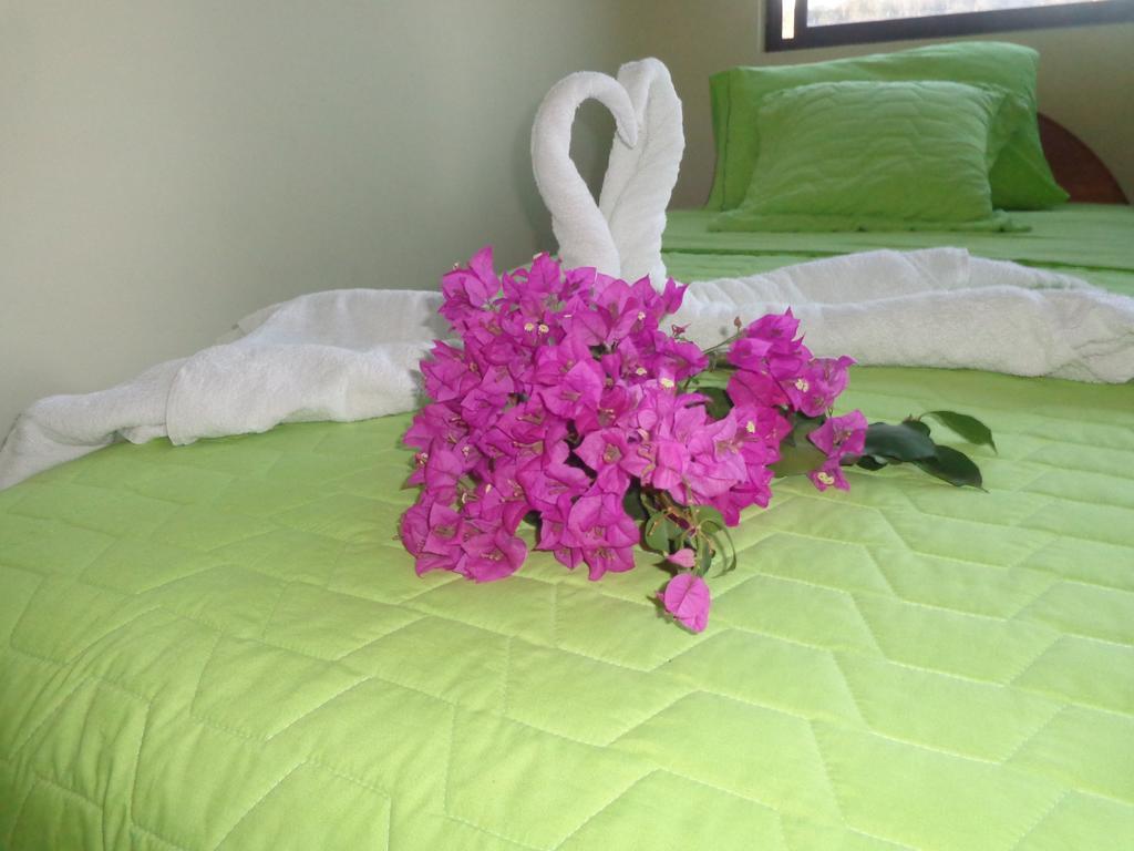Hostal Casa Cascada Пуэрто-Айора Экстерьер фото